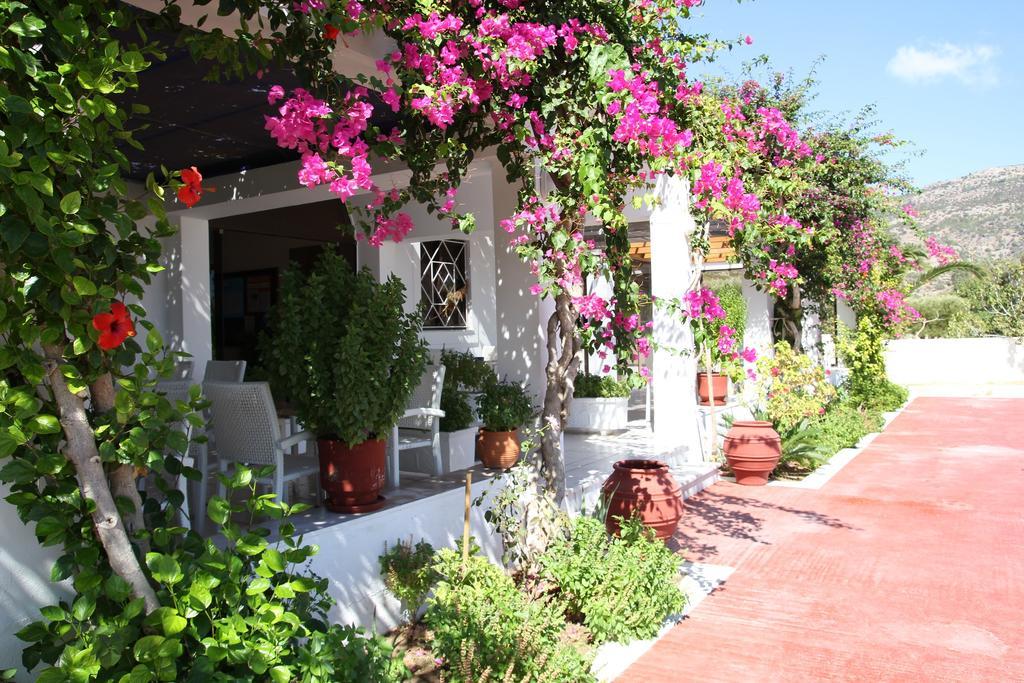 Mediterranean Hotel カルパトス エクステリア 写真